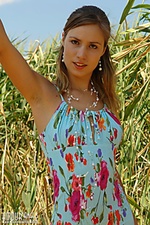 Summer art of free softcore photography galleries scenes