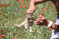 Fascinating hairy female teen russian