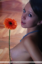 Erotic girl romantic softcore photography nude gallery