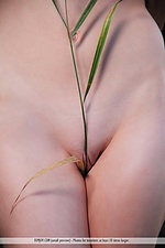 Free teens having sex free daily teen pics