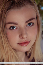 Daniel sea  Daniel sea